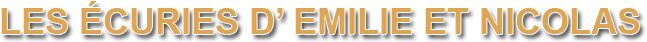 Les écuries d'Emilie et Nicolas